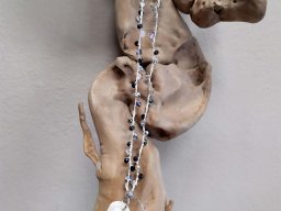 9952_Collane50